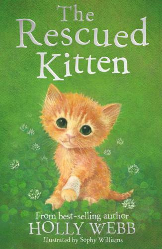 The Rescued Kitten Webb Holly C
