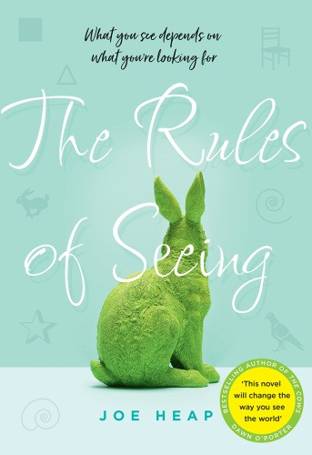 The Rules Of Seeing Heap Joe
