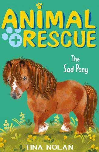 The Sad Pony Nolan Tina