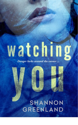 Watching You Greenland Shannon