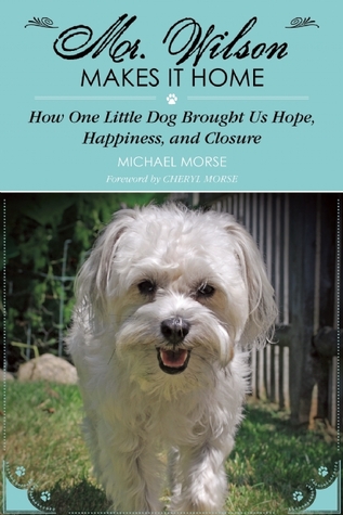 Mr Wilson Makes It Home How One Little Dog Brought Us Hope Happiness And Closure Michael Morse