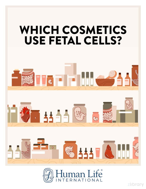 Which Cosmetics Use Fetal Cells Human Life International