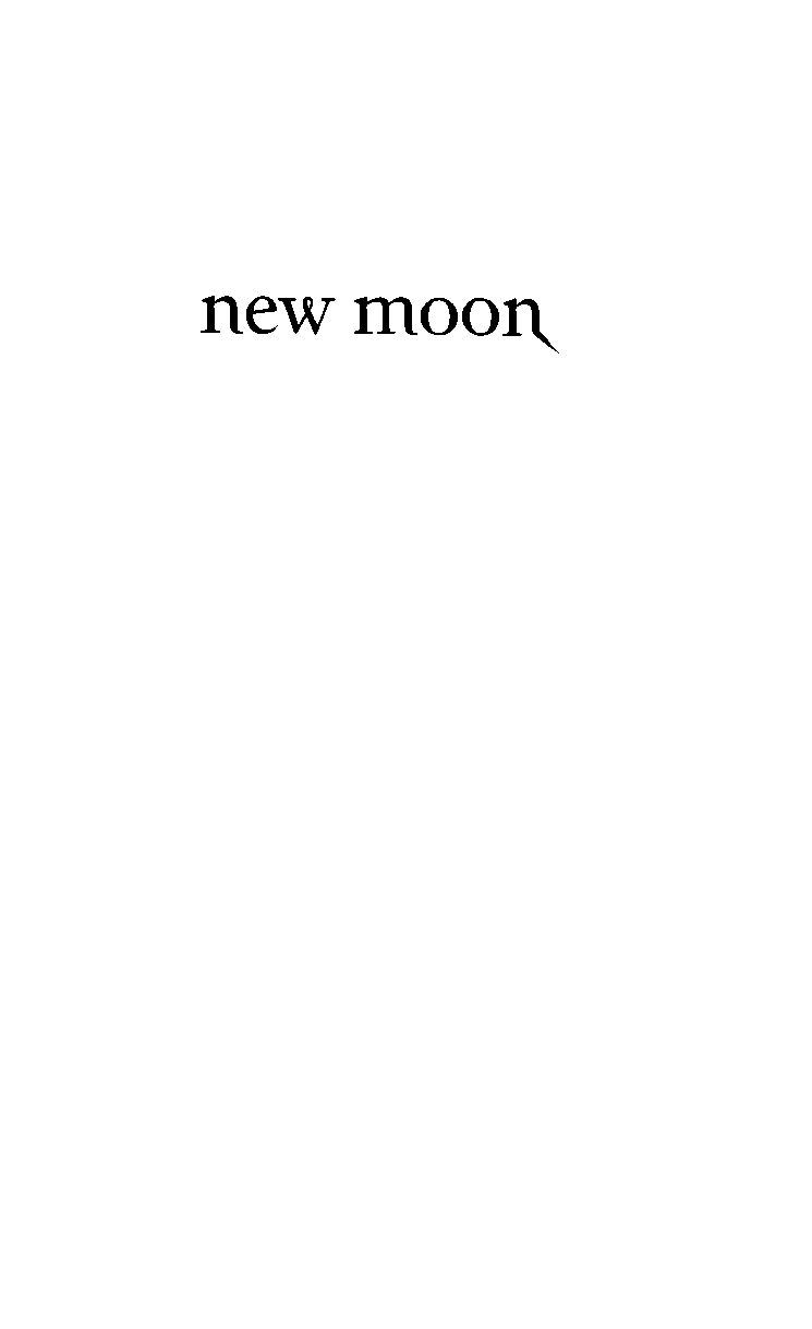 New Moon Meyer Stephenie