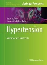 Hypertension Methods And Protocols 1st Edition Rhian M Touyz