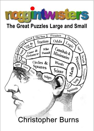 Noggintwisters The Great Puzzles Large And Small Burns Christopher