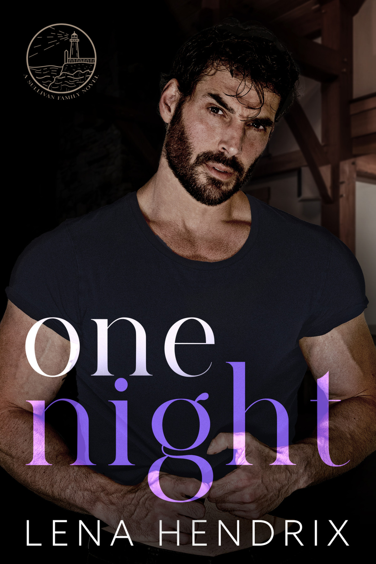 One Night A Romeo Juliet Small Town Romance Lena Hendrix