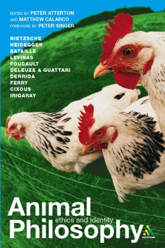 Animal Philosophy Essential Readings In Continental Thought 1st Edition Matthew Calarco