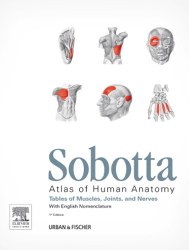 Sobotta Atlas Of Human Anatomy 15th Ed Tables Of Muscles Joints And Nerves 1st Edition Friedrich Paulsen