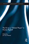The Eu As A Global Player In Human Rights Paperback Jan Wetzel