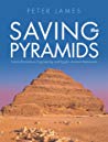 Saving The Pyramids Twenty First Century Engineering And Egypts Ancient Monuments Peter James