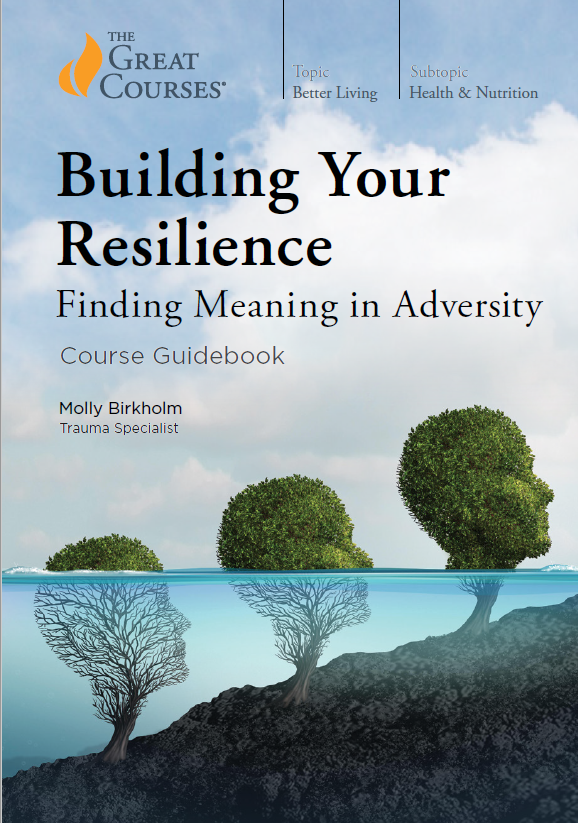 Building Your Resilience Finding Meaning In Adversity Molly Birkholm