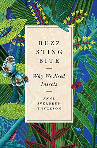 Buzz Sting Bite Why We Need Insects First Edition Anne Sverdrupthygeson