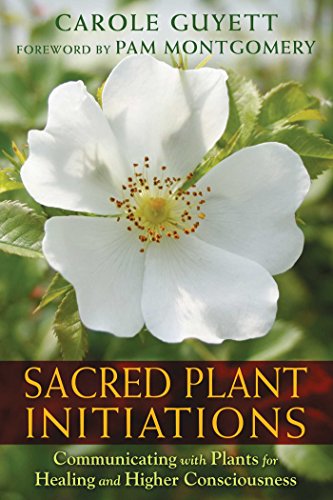 Sacred Plant Initiations Communicating With Plants For Healing And Higher Consciousness 1st Edition Retail Carole Guyett