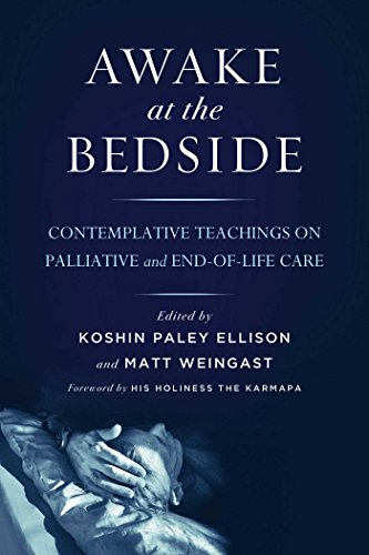 Awake At The Bedside Original Retail Koshin Paley Ellison Matt Weingast