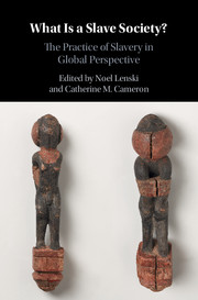 What Is A Slave Society The Practice Of Slavery In Global Perspective Hardcover Noel Lenski