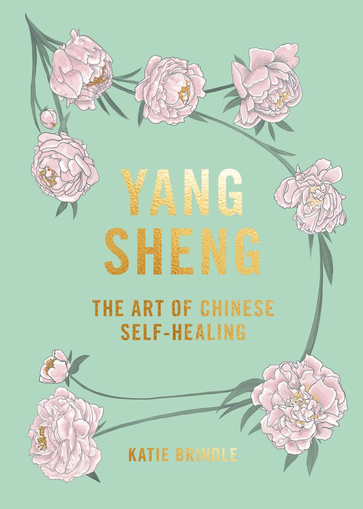 Yang Sheng The Art Of Chinese Selfhealing Ancient Solutions To Modern Problems Original Retail Katie Brindle