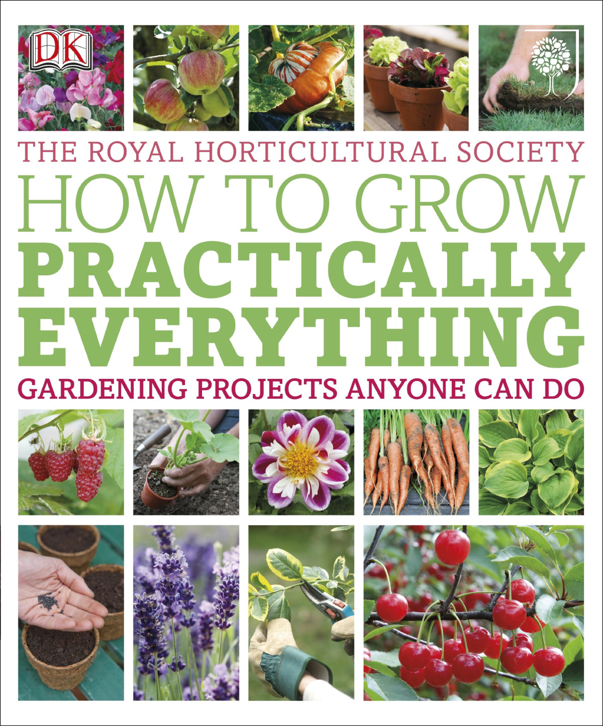 Rhs How To Grow Practically Everything Gardening Projects Anyone Can Do Paperback Zia Allaway Lia Leendertz