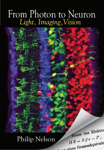 From Photon To Neuron Light Imaging Vision Nelson Philip