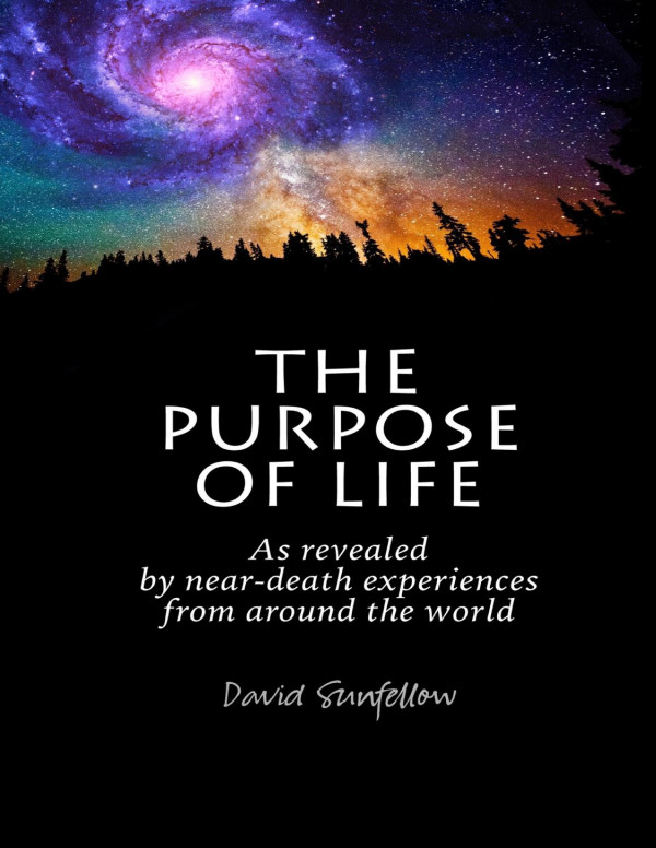 The Purpose Of Life As Revealed By Neardeath Experiences From Around The World David Sunfellow
