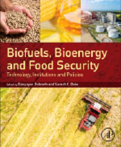Biofuels Bioenergy And Food Security Technology Institutions And Policies Deepayan Debnath Editor