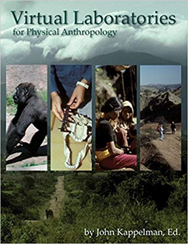 Virtual Laboratories For Physical Anthropology 40 John Kappelman