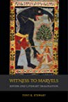 Witness To Marvels Sufism And Literary Imagination Paperback Tony K Stewart