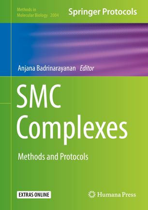 Smc Complexes Methods And Protocols 1st Ed Anjana Badrinarayanan