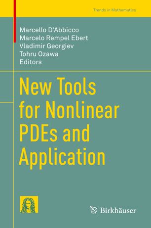 New Tools For Nonlinear Pdes And Application 1st Ed Marcello Dabbicco