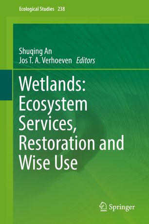 Wetlands Ecosystem Services Restoration And Wise Use 1st Ed Shuqing An