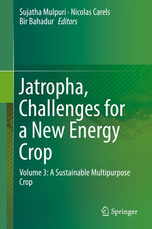Jatropha Challenges For A New Energy Crop Volume 3 A Sustainable Multipurpose Crop 1st Ed Sujatha Mulpuri