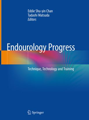 Endourology Progress Technique Technology And Training 1st Ed Eddie Shuyin Chan