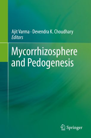 Mycorrhizosphere And Pedogenesis 1st Ed Ajit Varma Devendra K Choudhary