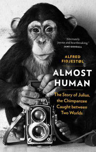 Almost Human The Story Of Julius The Chimpanzee Caught Between Two Worlds Alfred Fidjestl