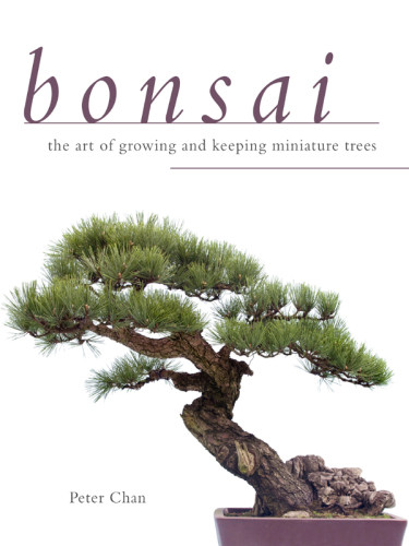 Bonsai The Art Of Growing And Keeping Miniature Trees Peter Chan