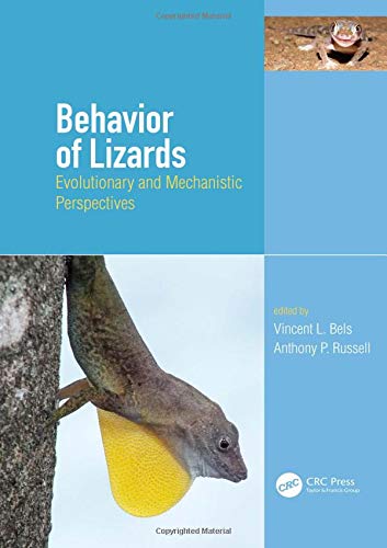 Behavior And Immunity Husband Alan J