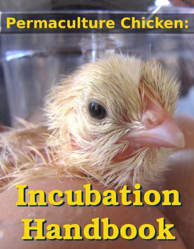 Permaculture Chicken Incubation Handbook Anna Hess