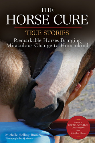The Horse Cure True Stories Remarkable Horses Bringing Miraculous Change To Humankind Michelle Hollingbrooks Aj Morey