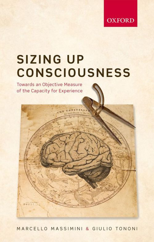 Sizing Up Consciousness Towards An Objective Measure Of The Capacity For Experience Hardcover Marcello Massimini