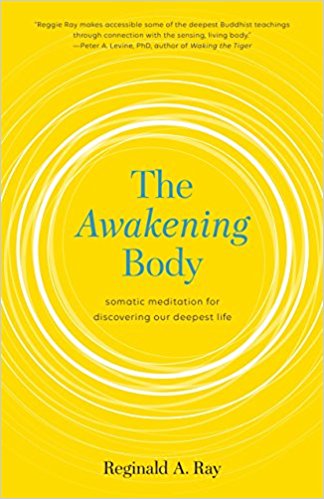 The Awakening Body Somatic Meditation For Discovering Our Deepest Life Reginald A Ray