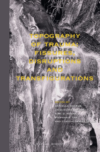 Topography Of Trauma Fissures Disruptions And Transfigurations Linder