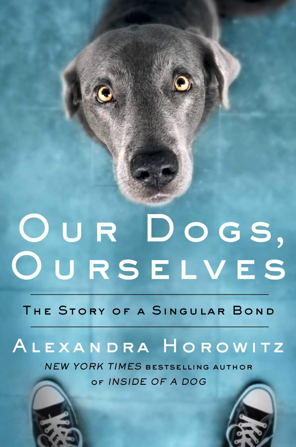 Our Dogs Ourselves How We Live With Dogs Now Alexandra Horowitz