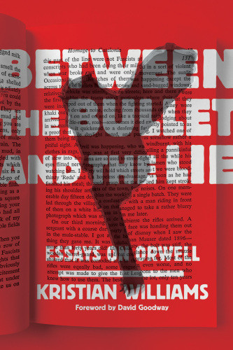 Between The Bullet And The Lie Essays On Orwell Williams Kristian