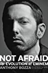 Not Afraid The Evolution Of Eminem Anthony Bozza