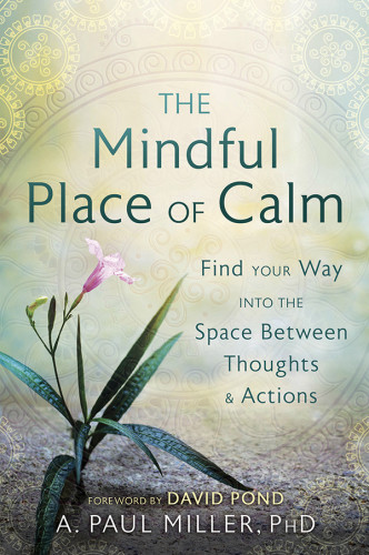 The Mindful Place Of Calm Find Your Way Into The Space Between Thoughts Actions A Paul Miller
