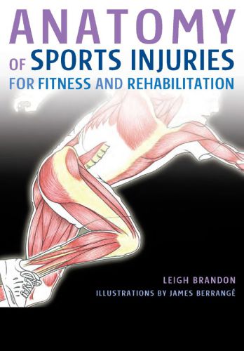 Anatomy Of Sports Injuries For Fitness And Rehabilitation Leigh Brandon