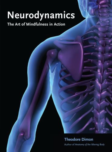 Neurodynamics The Art Of Mindfulness In Action Theodore Dimon