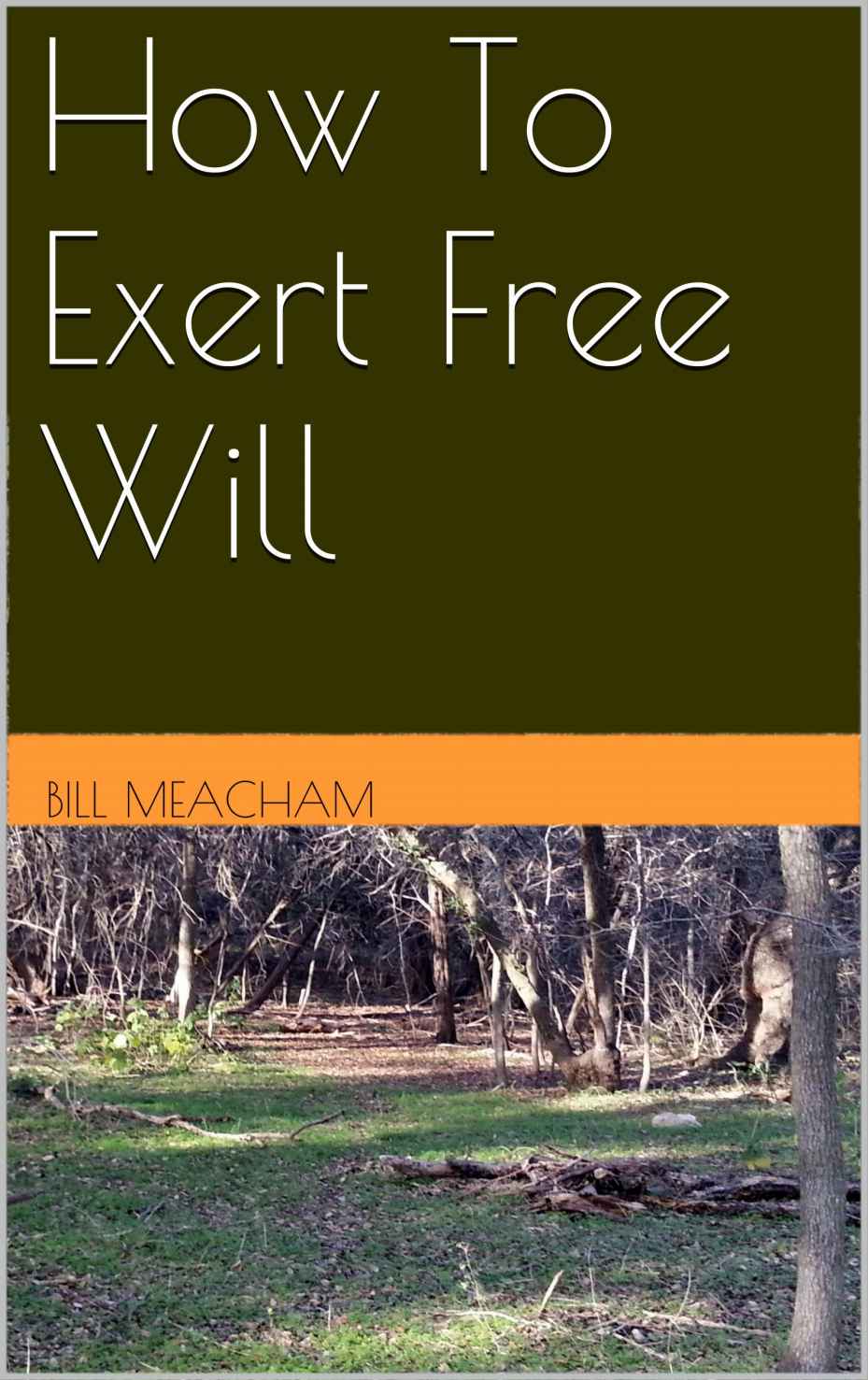 How To Exert Free Will Bill Meacham Meacham Bill