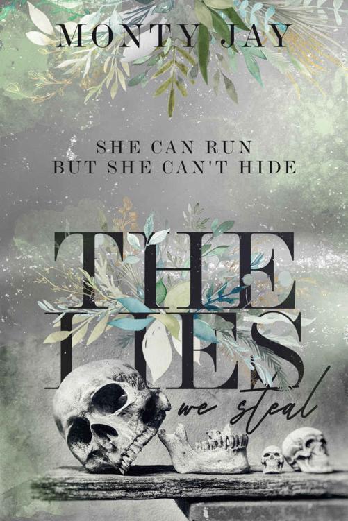 The Lies We Steal Monty Jay