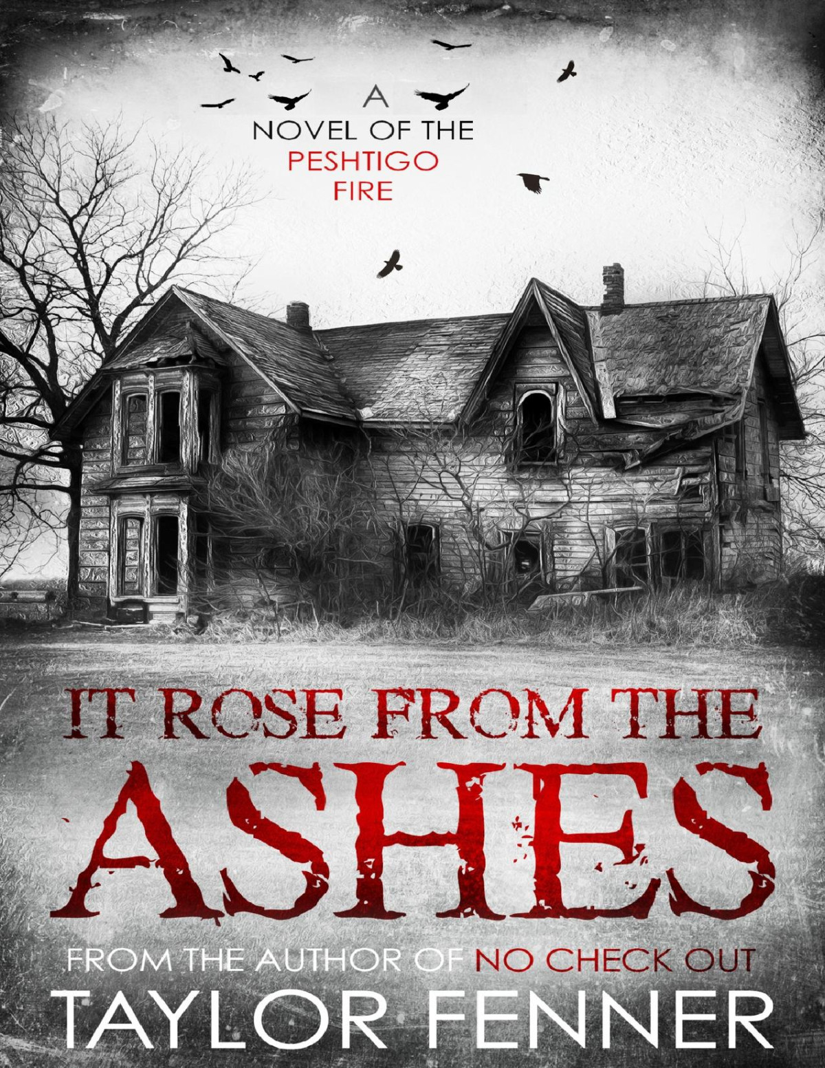 It Rose From The Ashes Taylor Fenner