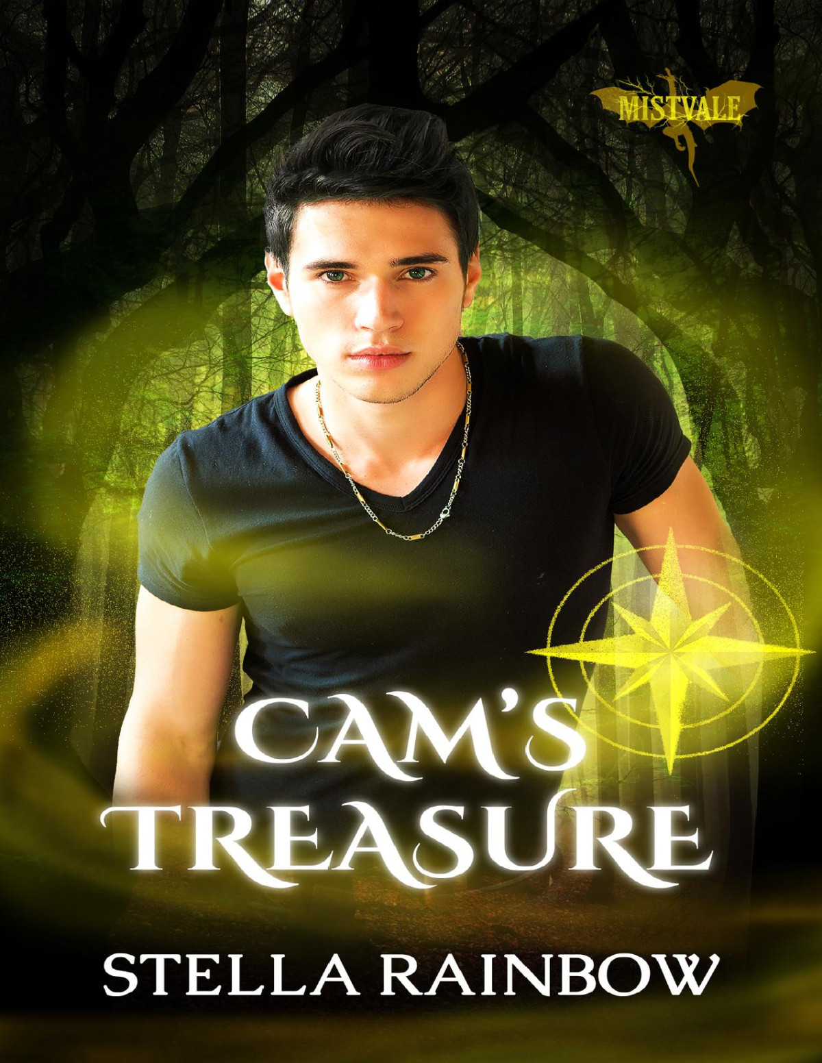 Cams Treasure An Mmmm Paranormal Romance Heirs Of Mistvale Book 1 Stella Rainbow